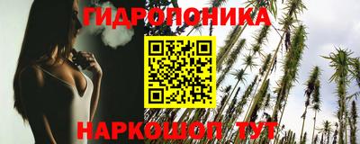 гашик Донецк