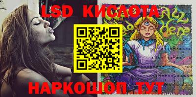 гашик Донецк
