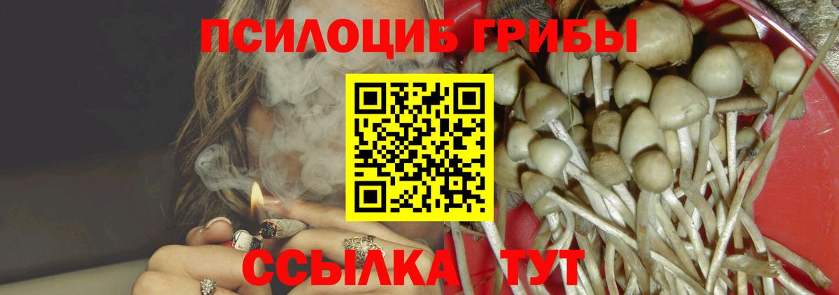 Галлюциногенные грибы Magic Shrooms  Вход с VPN  Новошахтинск 